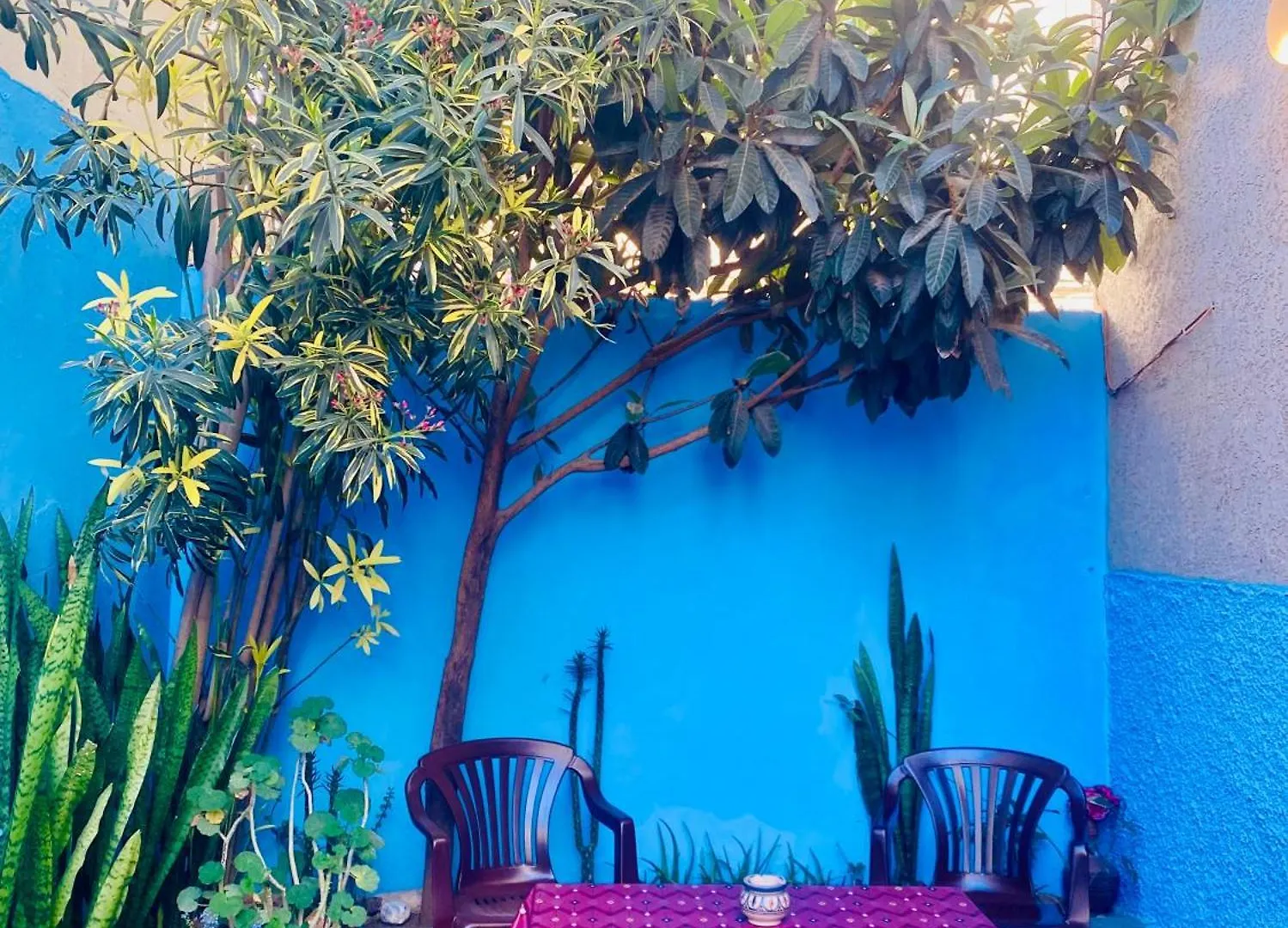 Appartement Avec Patio, Au Centre Ville, Internet Fibre, Canal Plus, Chaines Internationales Agadir Apartment